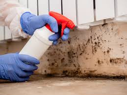 Mold Remediation for Rental Properties